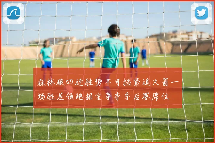森林狼四连胜势不可挡紧追火箭一场胜差领跑掘金争夺季后赛席位