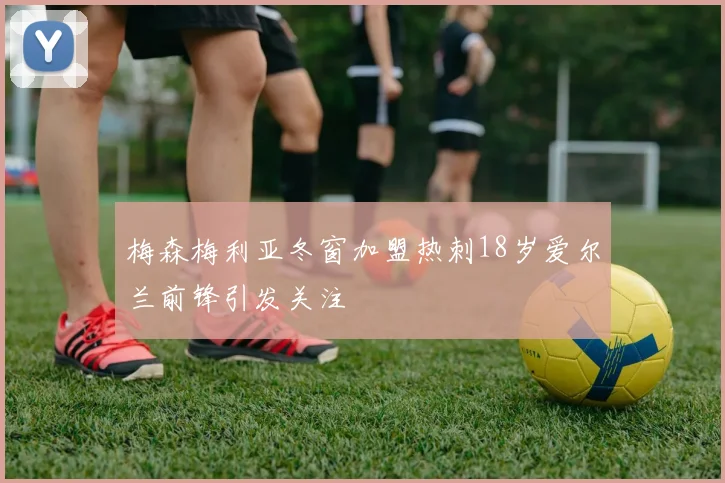 梅森梅利亚冬窗加盟热刺18岁爱尔兰前锋引发关注
