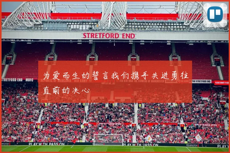 为爱而生的誓言我们携手共进勇往直前的决心