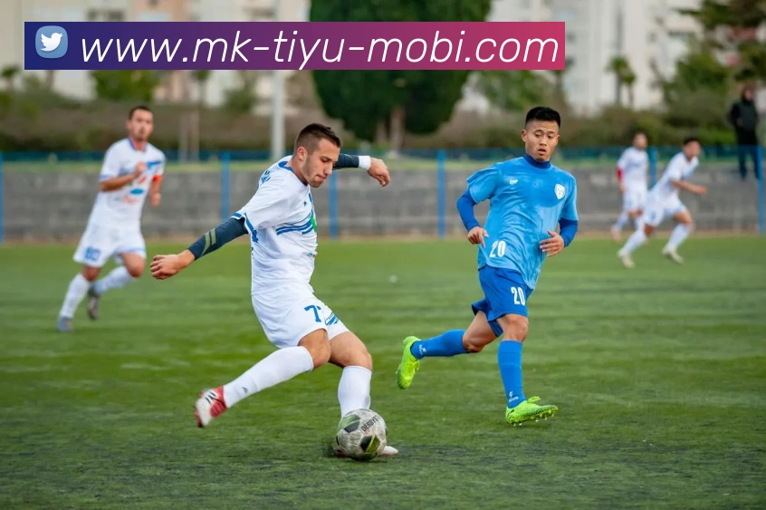 App Interface Preview