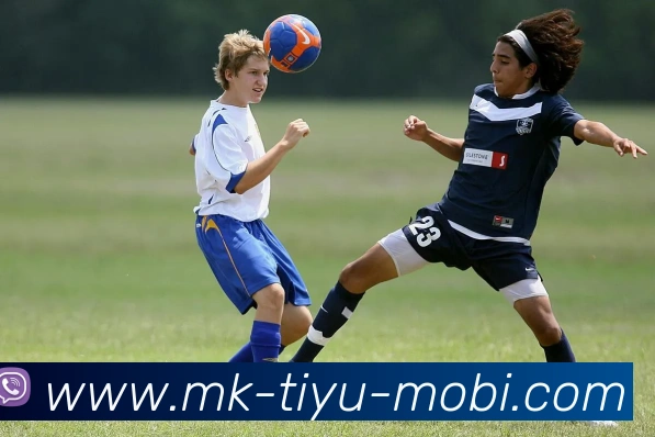 MK体育APP 封面图